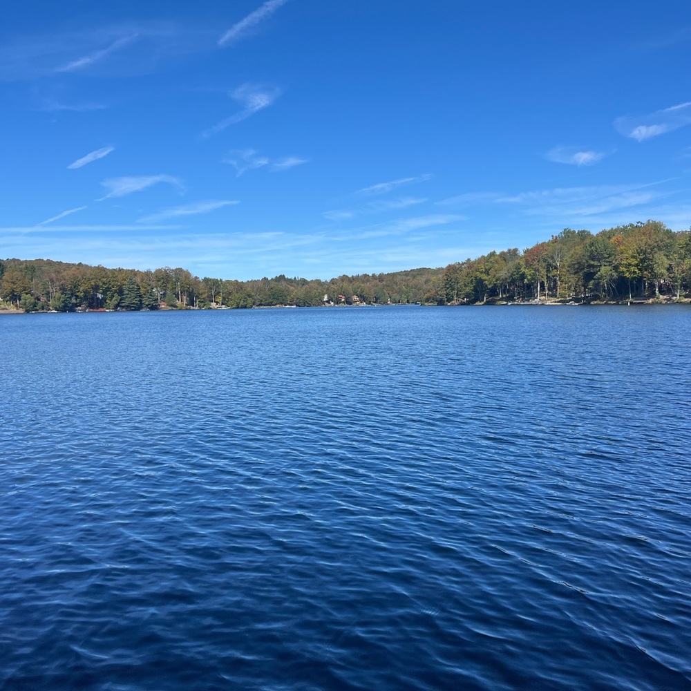 Meet your Posher, Dana